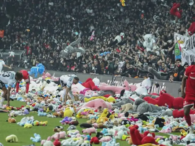 Al campo de fútbol: turcos lanzan peluches expresando malestar por respuesta del Gobierno al terremoto