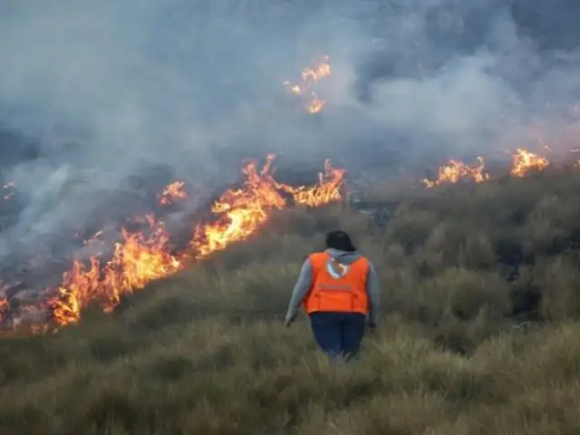 En los últimos 20 años se han incrementado los incendios forestales en el Perú, señala el IGP