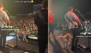Perrito se sube a escenario en pleno concierto de Los Auténticos Decadentes