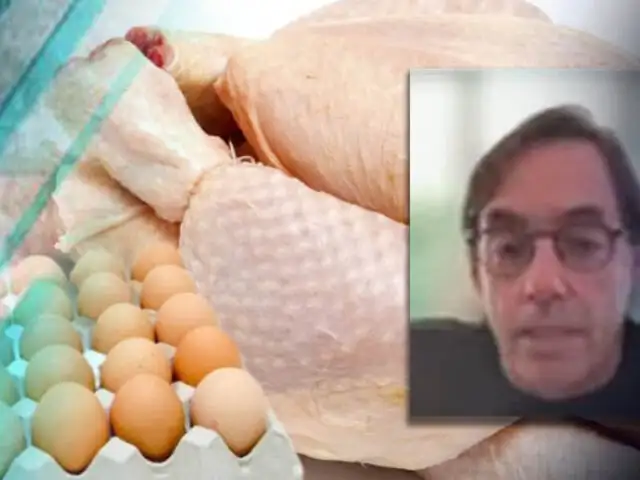 Avisur alerta por escasez de huevos y pollos en los mercados