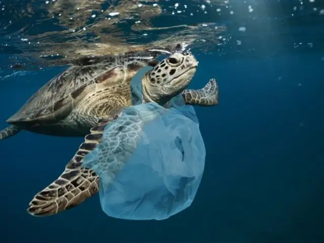 Estudio revela que océanos sufren desde 2005 una gran contaminación por plástico