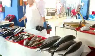 Semana Santa: el kilo de bonito se vende a S/ 12 en el terminal pesquero de Chorrillos