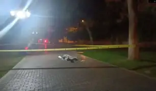 Sujeto fue asesinado de 11 puñaladas en un parque del Cercado de Lima