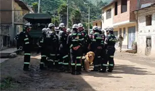 Deslizamiento en Huaral: con ayuda de perro rescatista buscan a pobladora desaparecida