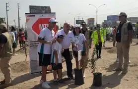 Siembran 3,236 árboles en dieciséis distritos de Lima