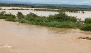 Río Tumbes: más de 3,000 hectáreas de plátano y arroz siguen inundadas por desborde