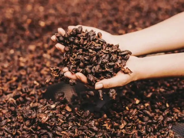 El boom del café peruano: Perú exporta 6 toneladas de cáscara de café orgánico a Alemania