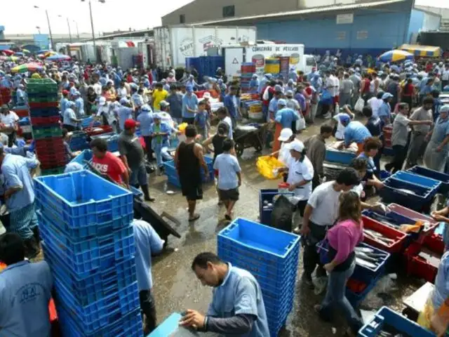 Semana Santa: Terminal pesquero del Callao amplía su horario de atención por feriado largo