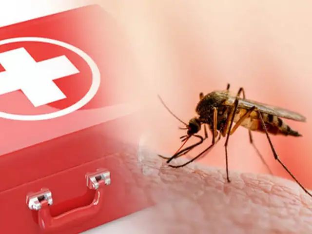¡Alerta! OMS: “Cambio climático favorece casos de dengue y chikungunya”