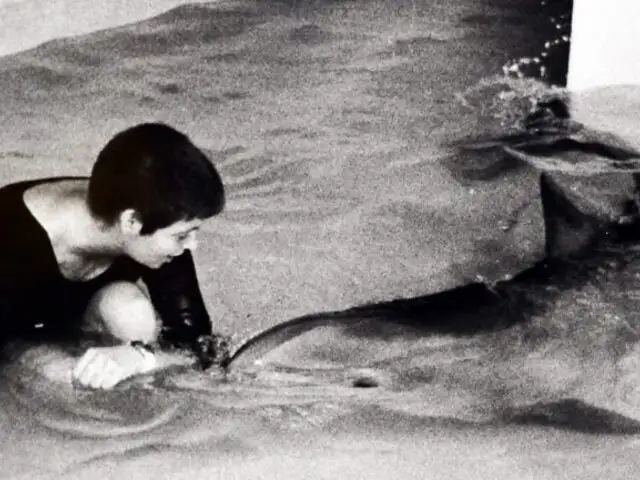 La insólita historia de Peter: el experimento que buscaba que un delfín hablara y terminó en un 'enamoramiento'