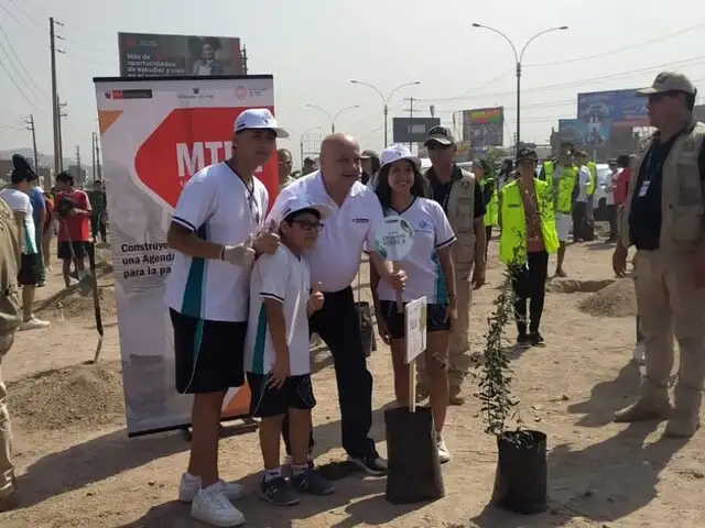 Siembran 3,236 árboles en dieciséis distritos de Lima