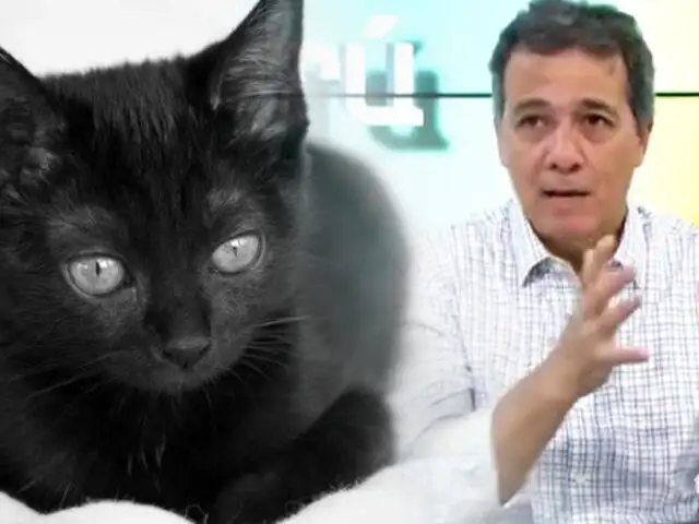 La faceta desconocida del exministro de Economía Alonso Segura en favor de los gatos