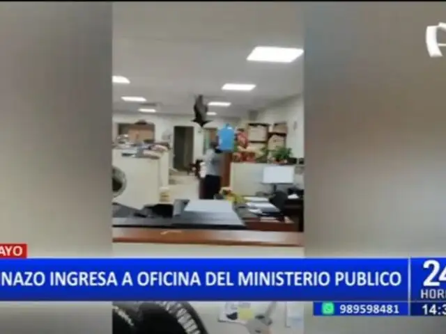 Gallinazo irrumpe en oficinas del Ministerio Público en Chiclayo