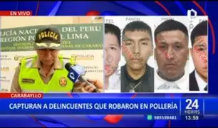 "Los injertos de Carabayllo": Detienen a delincuentes que robaron en pollería
