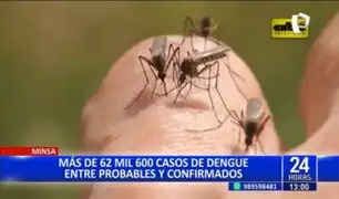 Dengue en el Perú: Minsa reporta más de 62 mil casos entre probables y confirmados