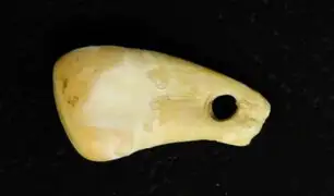 Logran extraer ADN de una mujer de la Edad de Piedra en collar de hace 20 mil años