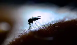 Dengue: casos se han reducido en un 30% a nivel nacional, según jefe del INS