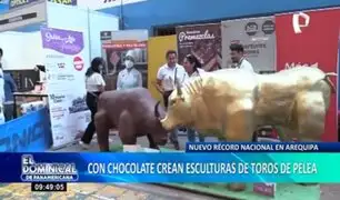 Toros de chocolate de 2 toneladas de peso rompen récord en festival de Arequipa
