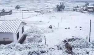 Senamhi: Lluvias, nieve y granizo continuarán en más de 70 provincias de la Sierra