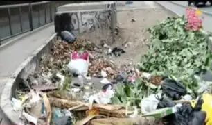 Defensoría pide a municipios de Lima y SMP disponer recojo de residuos acumulados en la vía pública