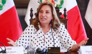 Presidenta Boluarte: Pedro Castillo es el asesino sentado en la Diroes, autor de más de 60 víctimas