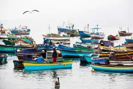 MEF transfiere S/ 13.9 millones para fortalecimiento de pesca artesanal ante efectos climatológicos