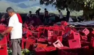 Moyobamba: pobladores "rescatan" botellas de cerveza de camión volcado