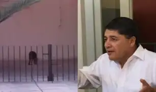 Alcalde de Arequipa señala que hay "homofobia" contra su perro tras revelarse que servidor municipal lo cuida