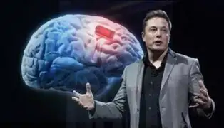 Elon Musk: Neuralink obtiene permiso para implantar chips en cerebros de humanos en EE. UU