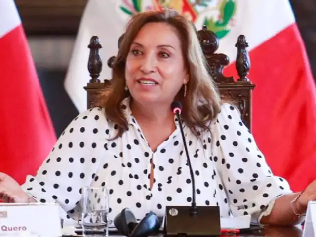 Presidenta Boluarte: Pedro Castillo es el asesino sentado en la Diroes, autor de más de 60 víctimas