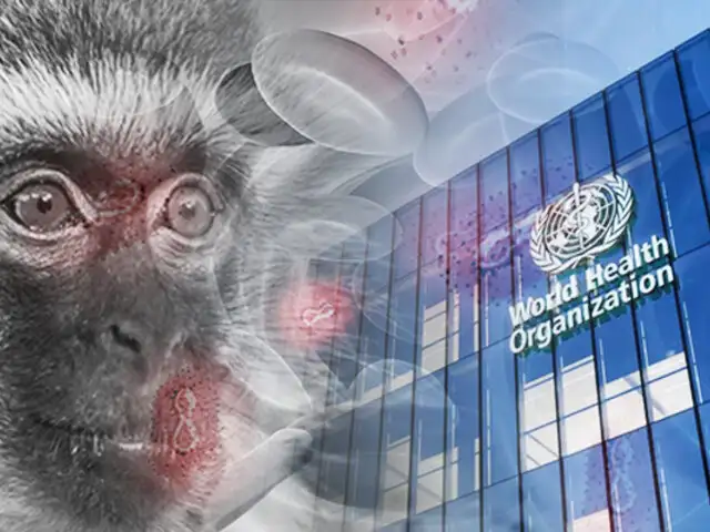 OMS: “La viruela del mono ya no es una emergencia sanitaria mundial”