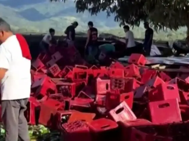 Moyobamba: pobladores "rescatan" botellas de cerveza de camión volcado