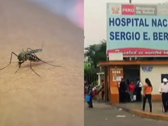 Comas es el distrito más infectado con dengue, informa el Minsa