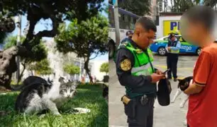 Miraflores multa con casi S/ 5000 a sujeto que intentó abandonar a gatito en parque Kennedy