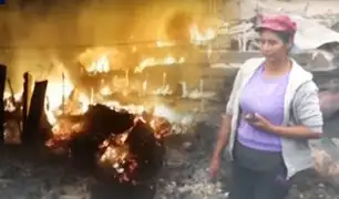 Ventanilla: Casi 200 animales mueren calcinados en incendio en granja porcina