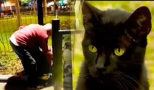 Graban a un adulto mayor abandonando gatos en el parque Kennedy de Miraflores