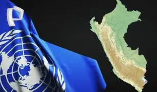 ONU determinó que Perú violó los derechos de niña embarazada por su padre al impedir que aborte