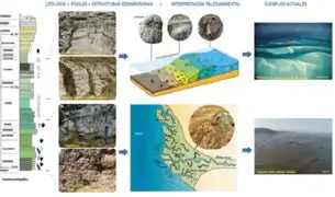 Reconstruyen ambientes marinos en la sierra central de hace 145 millones de años