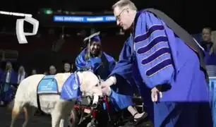 Perro guía recibe diploma universitario por asistir a clases junto a su dueña