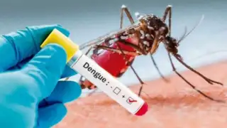 Dengue en Perú: expertos señalan que aumento de temperatura favorece propagación del zancudo