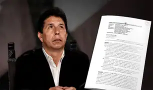 Pedro Castillo: expertos afirman que ley de amnistía para expresidente "es absolutamente inviable"