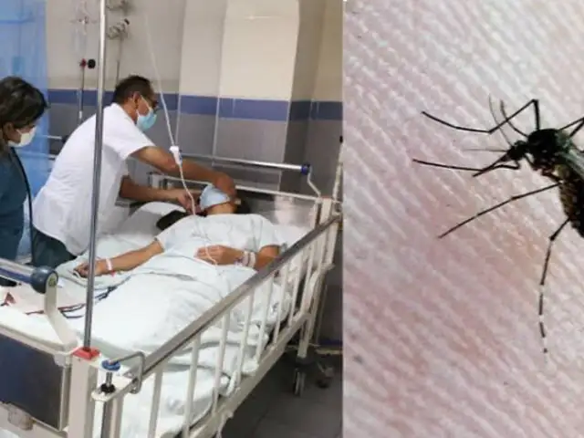 Congreso: piden al Gobierno declarar estado de emergencia ante aumento de casos de dengue