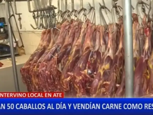 Ate: camal clandestino sacrificaba 50 caballos al día para vender su carne en mercados de Lima