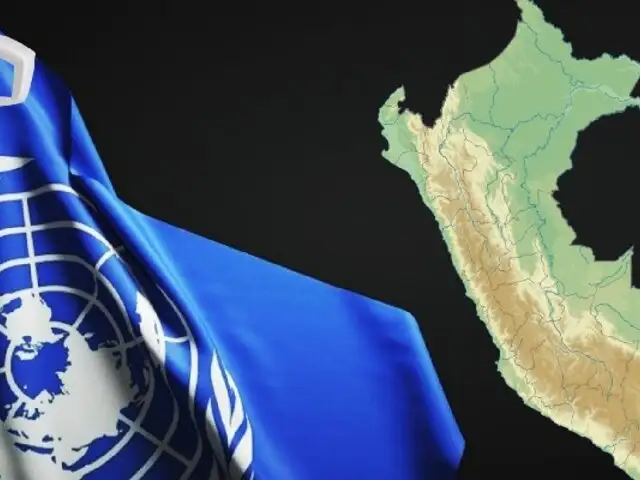 ONU determinó que Perú violó los derechos de niña embarazada por su padre al impedir que aborte
