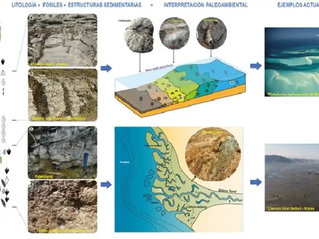 Reconstruyen ambientes marinos en la sierra central de hace 145 millones de años