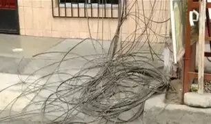 Los Olivos: municipio se pondrá en contacto con empresas para solucionar problema de cableado