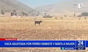 Huancayo: Vaca asustada por perro embiste y mata a mujer