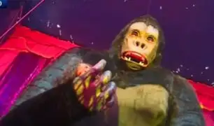 “King Kong” de 10 metros: Circo Montecarlo regresa a Lima con renovado espectáculo