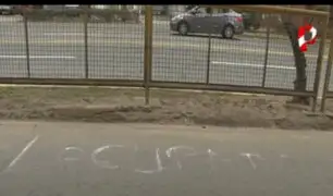 Avenida Brasil: borran pintas hechas por lotizadores en Jesús María