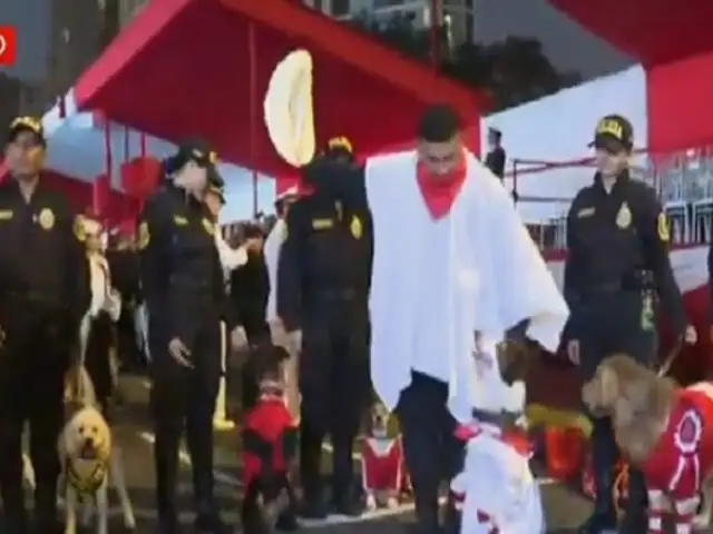 Desfile Militar: perritos de la Unidad Canina de la PNP bailarán marinera y huaylas en evento